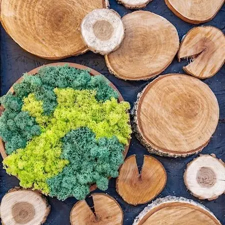 Mountain - In And Out - Free Apartment Bansko