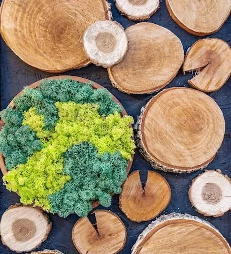 Mountain - In And Out - Free Apartment Bansko